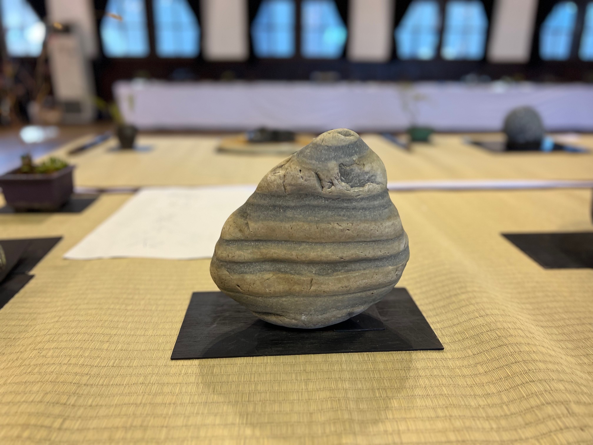 第61回水石展 第66回松本市芸術文化祭 | 新まつもと物語